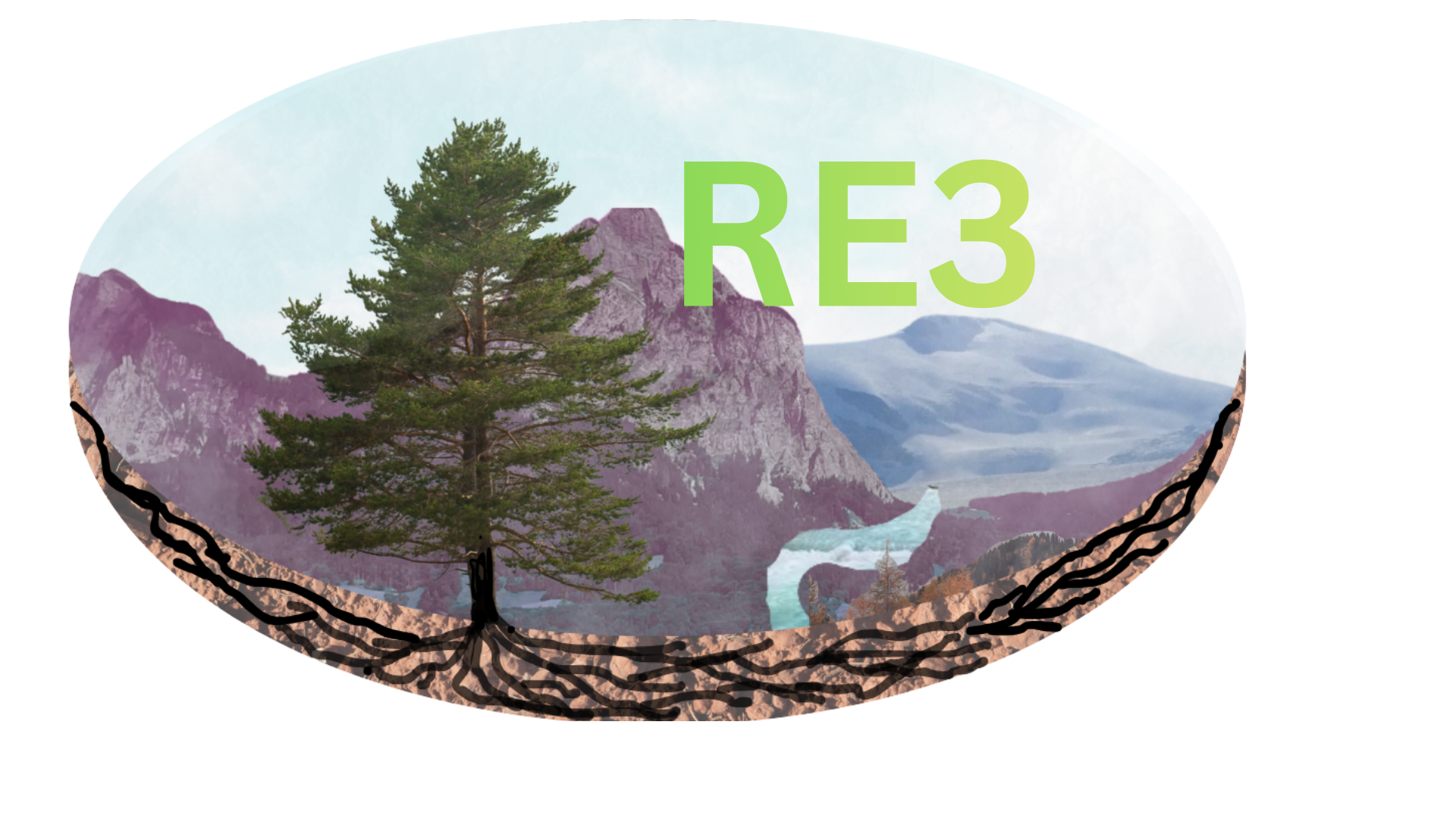 RE3 Repository